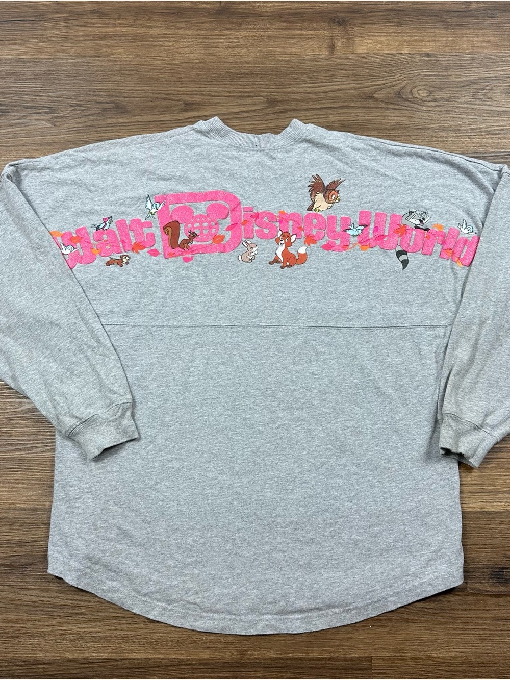 Walt Disney World Critters Woodland Friends Birds Spirit Jersey Size Medium Gray